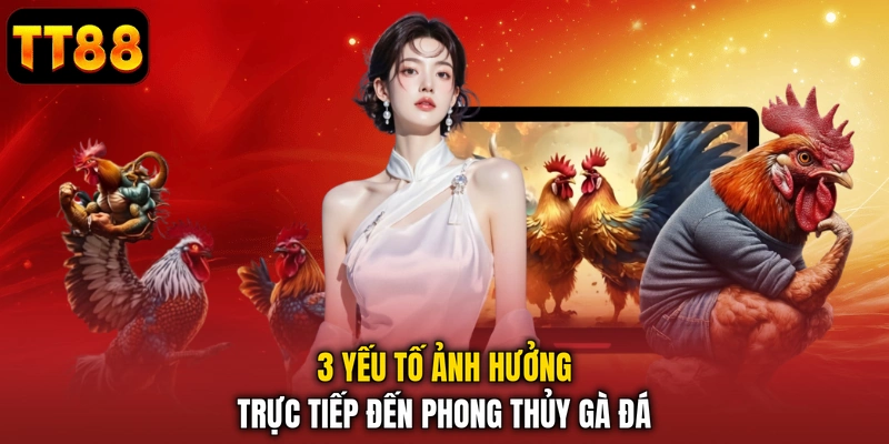 3 yếu tố ảnh hưởng trực tiếp đến phong thủy gà đá