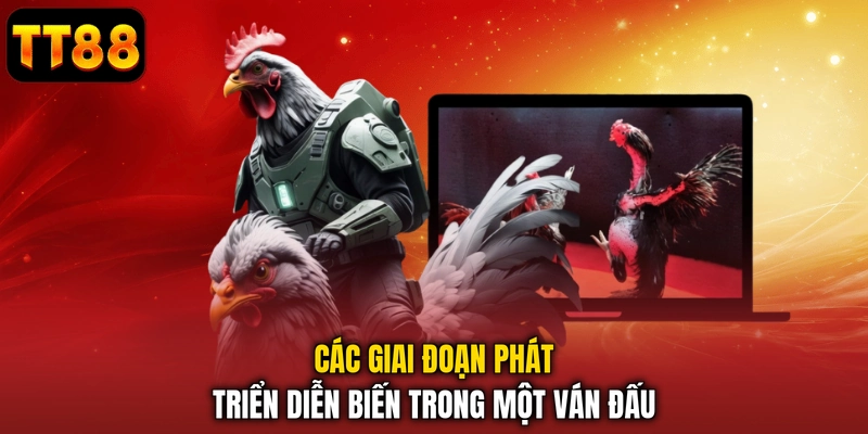 Các giai đoạn phát triển diễn biến trong một ván đấu