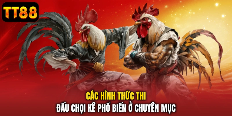 Các hình thức thi đấu chọi kê phổ biến ở chuyên mục