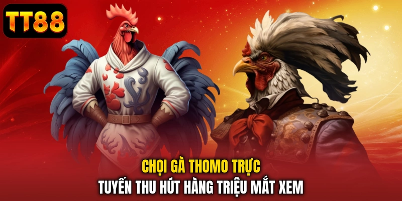 Chọi gà Thomo trực tuyến thu hút hàng triệu mắt xem