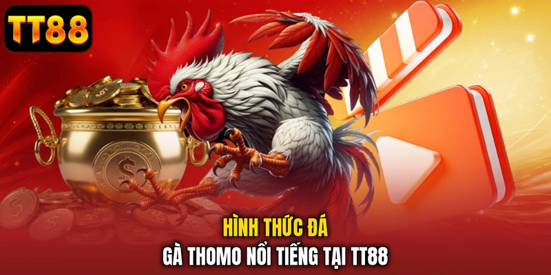 Hình thức đá gà Thomo nổi tiếng tại TT88