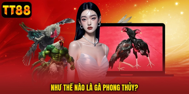Như thế nào là gà phong thủy?