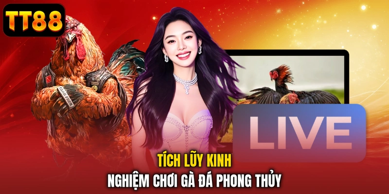 Tích lũy kinh nghiệm chơi gà đá phong thủy
